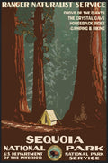 WPA Sequoia National Park Poster, 1930s