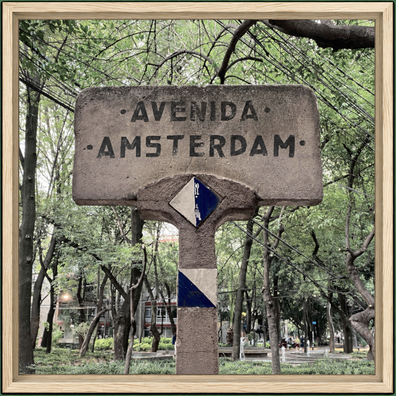 Avenida Amsterdam CDMX Street Sign Art Print by The Poster Archive